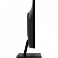 Acer Acer