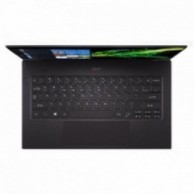 Acer Acer